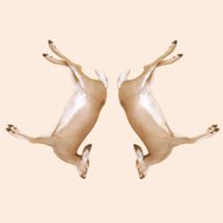 Utarm : Penumbra Booming